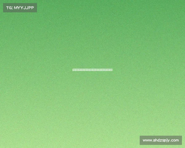 西甲中场组织核心地位解析及其对球队战术影响的深度剖析